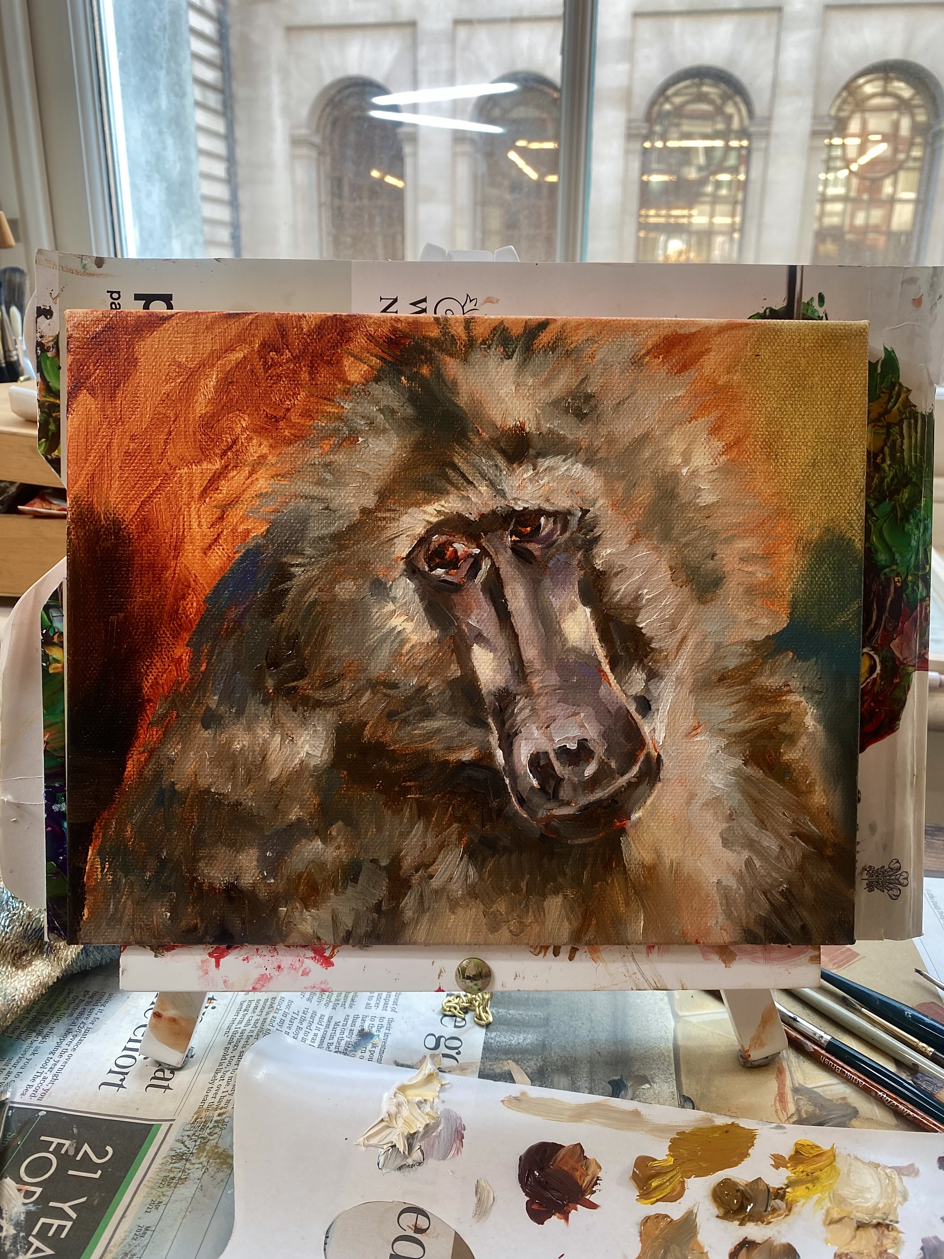 Baboon Study Process
