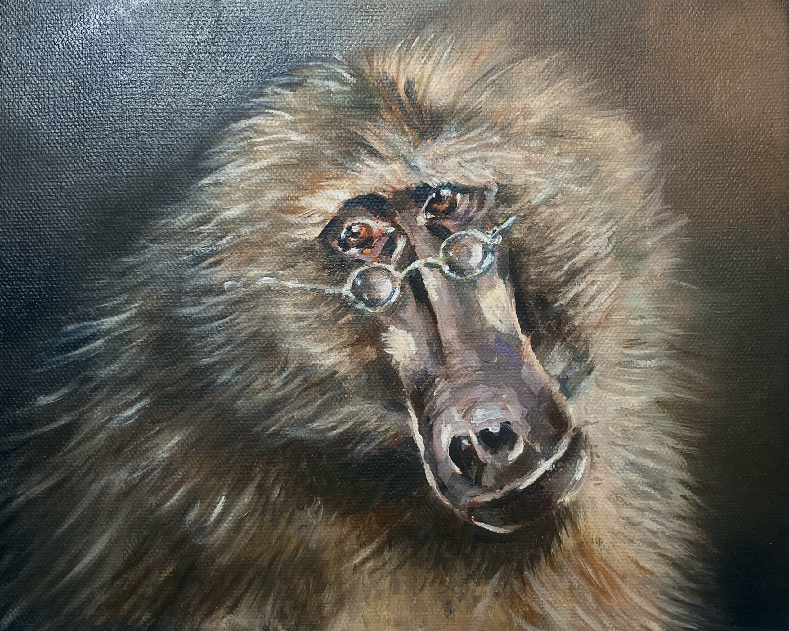 Mrs Baboon, Oil on canvas